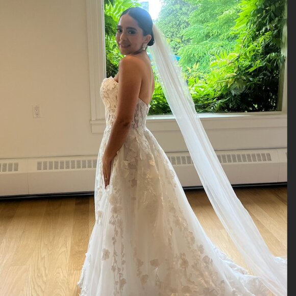 Shania - Calla Blanche - Picture 6 of 6